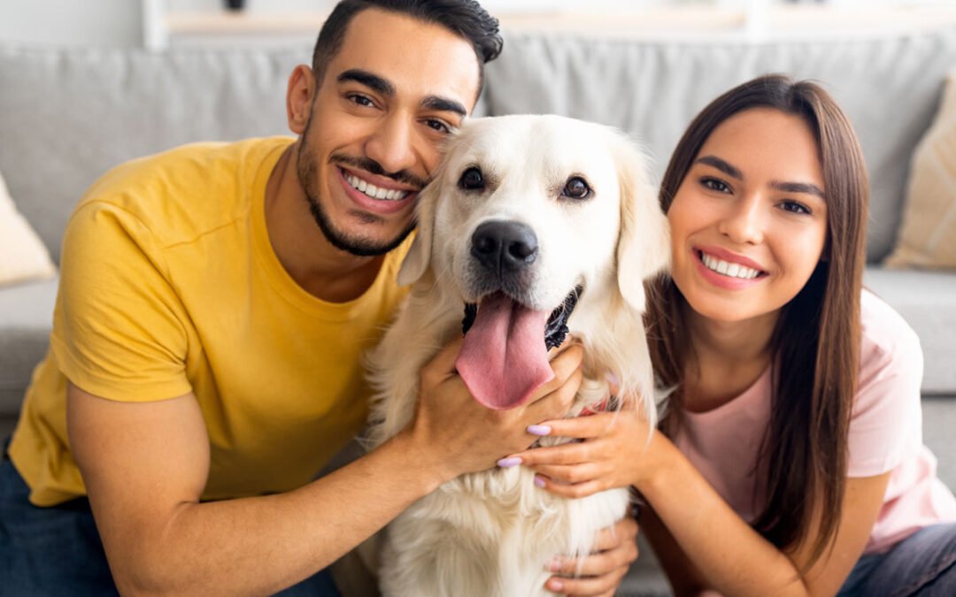 Keep Your Pets Happy with the Right Food, Toys & Everyday Care